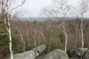 forêt des Grands Avaux